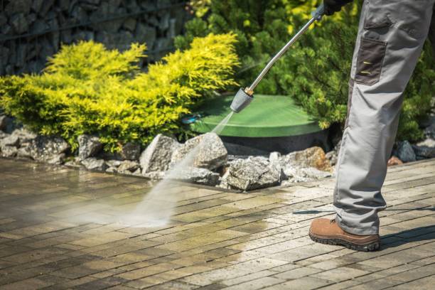Best Gutter Cleaning  in Largo, FL