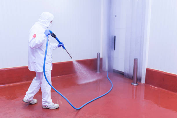 Best Concrete Sealing  in Largo, FL