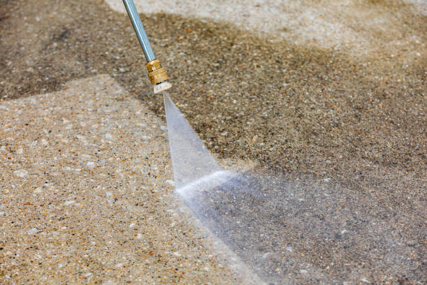 Animal Enclosure Cleaning in Largo, FL
